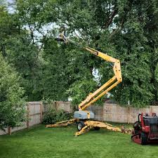 Best Tree Health Inspection  in Hackleburg, AL