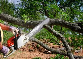 Best Weed Control  in Hackleburg, AL
